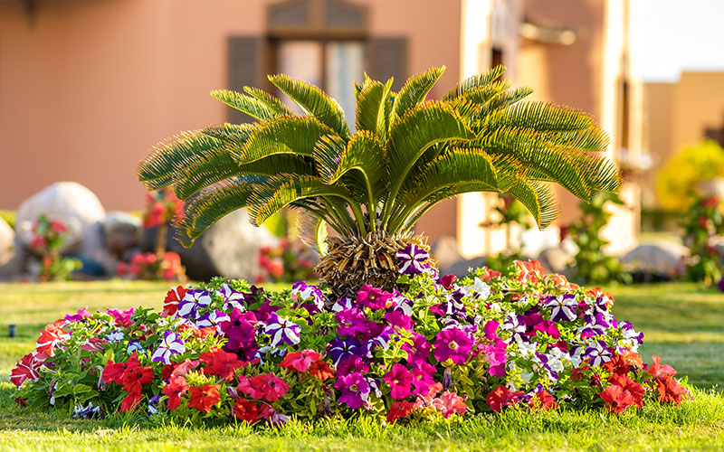 diferença paisagismo e jardinagem