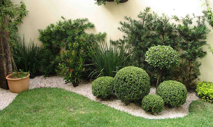 plantas para paisagismo residencial