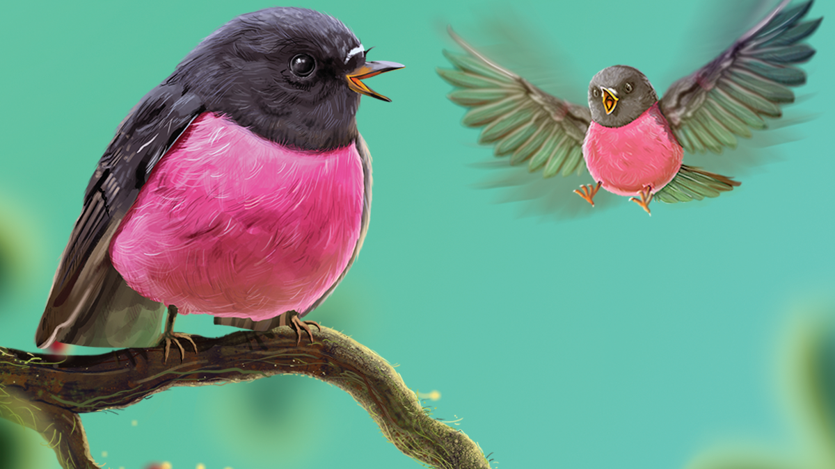 O Encanto do Colhereiro: Uma Ave Rosa Fascinante do Brasil