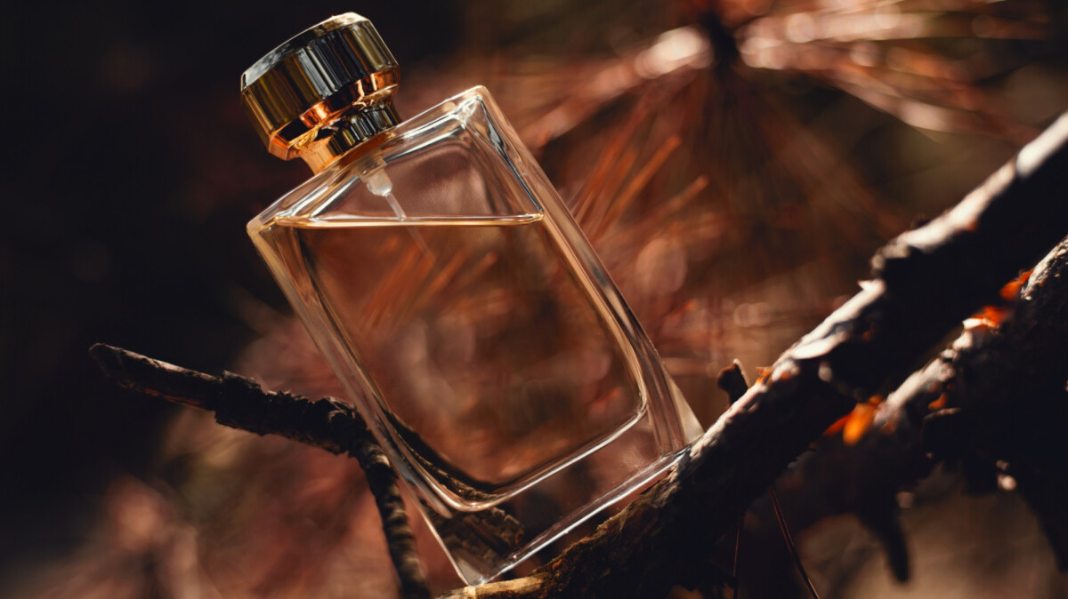 perfumes amadeirados femininos para outono/inverno