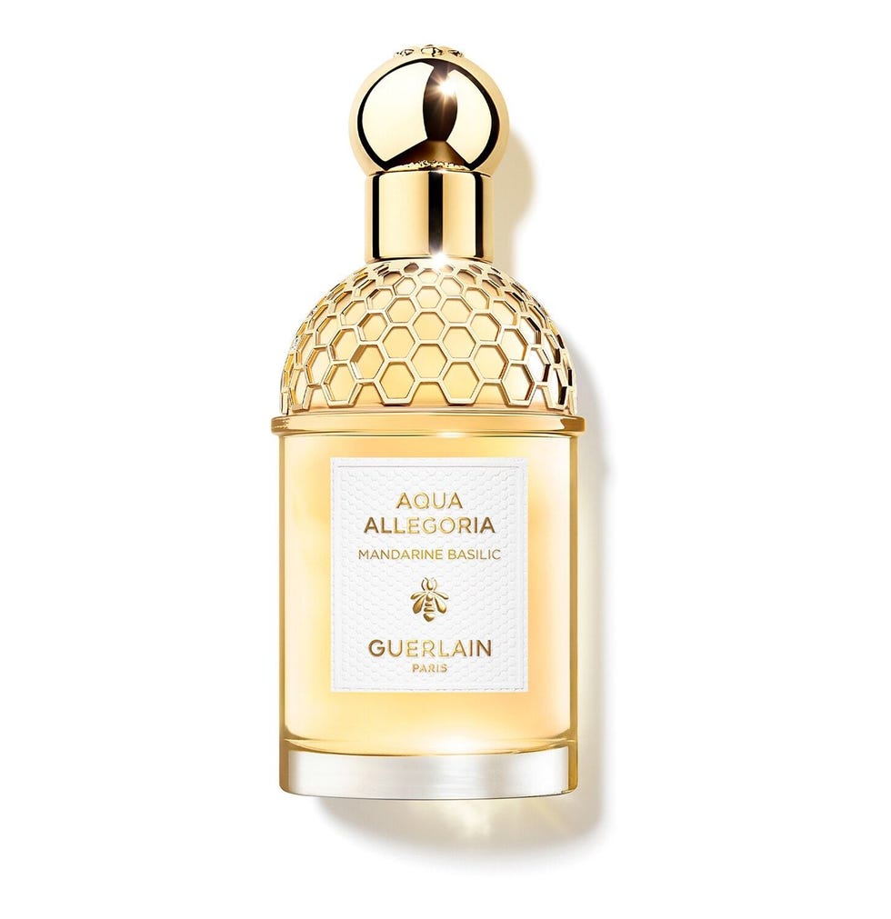 melhores perfumes femininos 2026