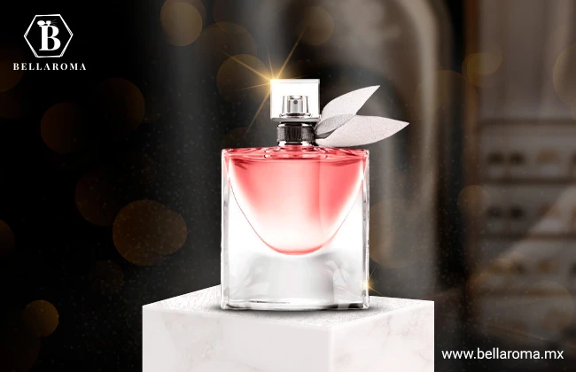 perfumes clássicos femininos