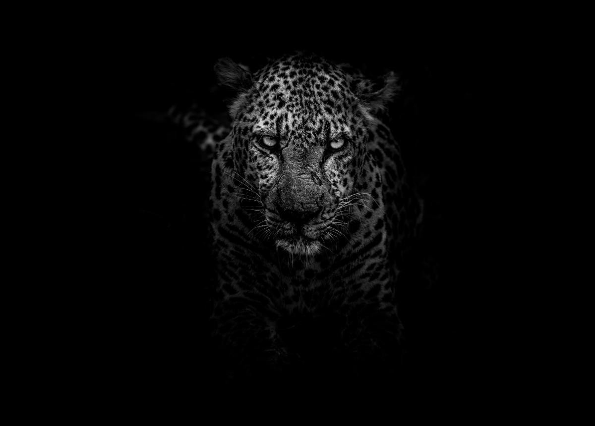 wallpaper aesthetic celular