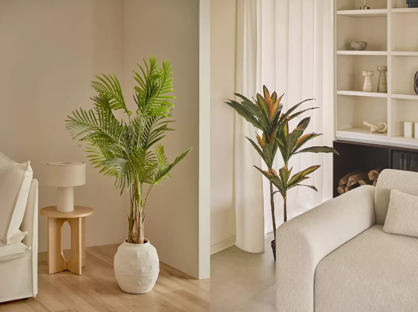 plantas de interior para sala vs plantas de exterior