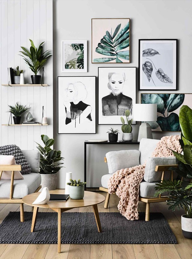 melhores plantas para decorar sala pequena