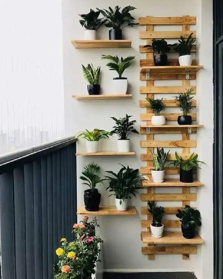 plantas decoração