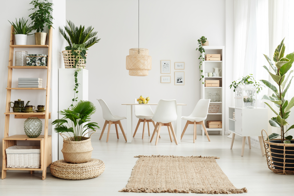 plantas para sala pequena