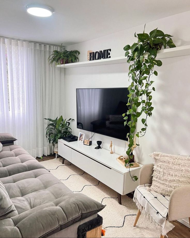 plantas para sala pequena