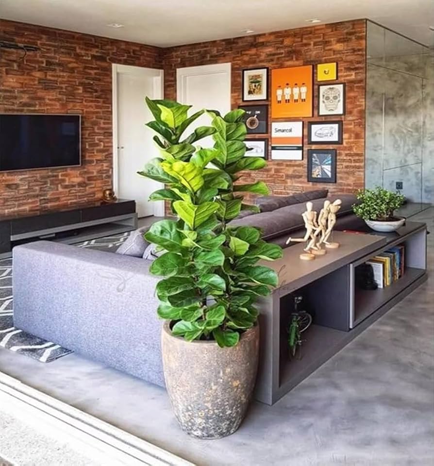 urban jungle na sala