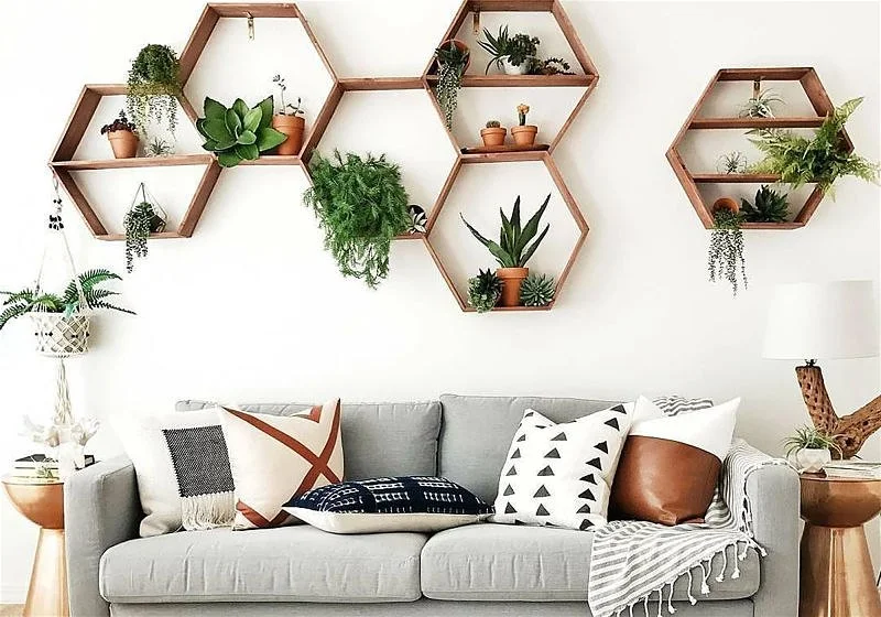 plantas para sala pequena