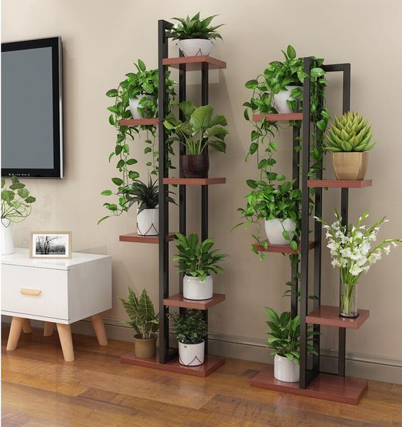 plantas para sala com pouca luz