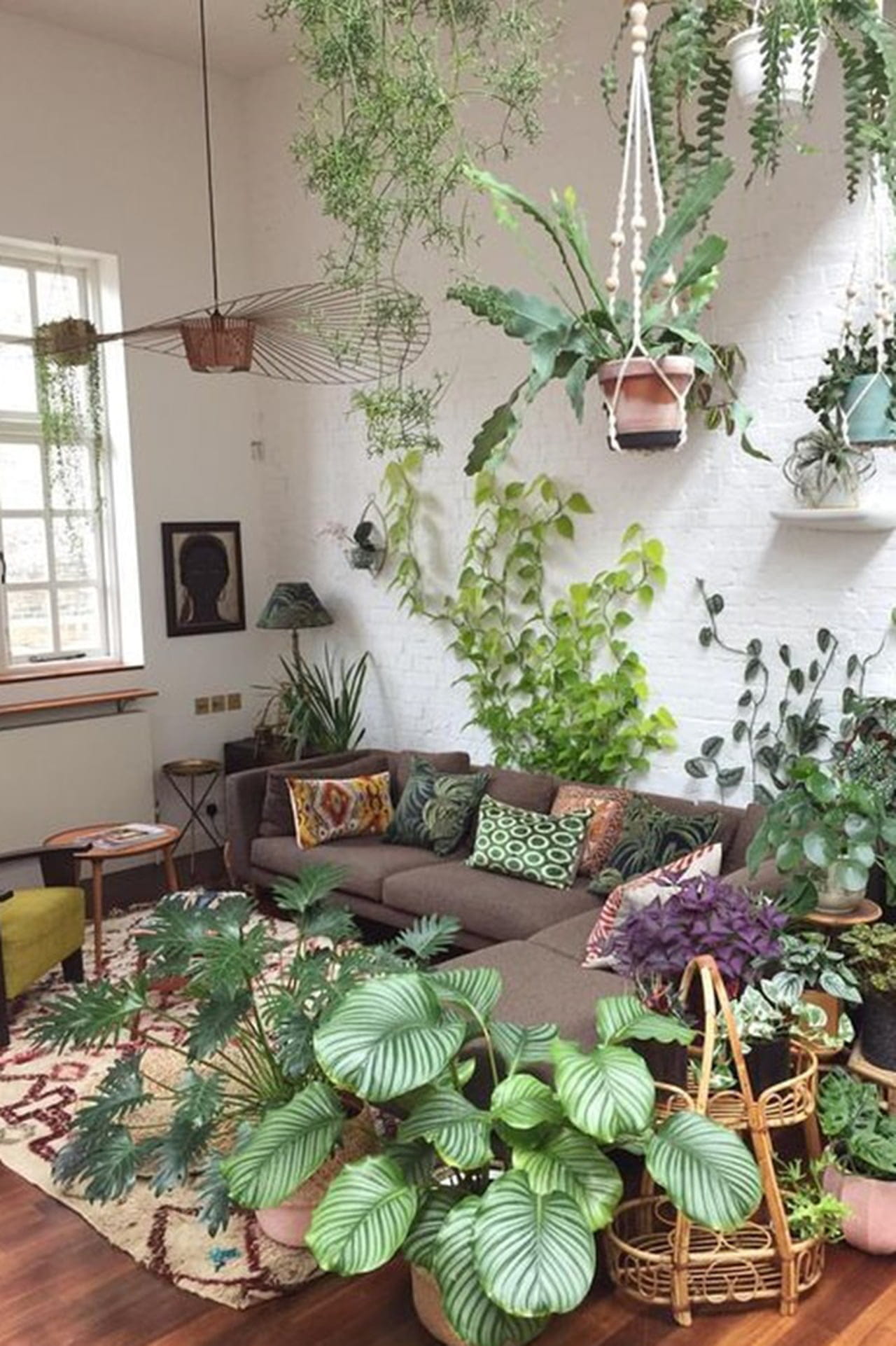plantas de chão para sala