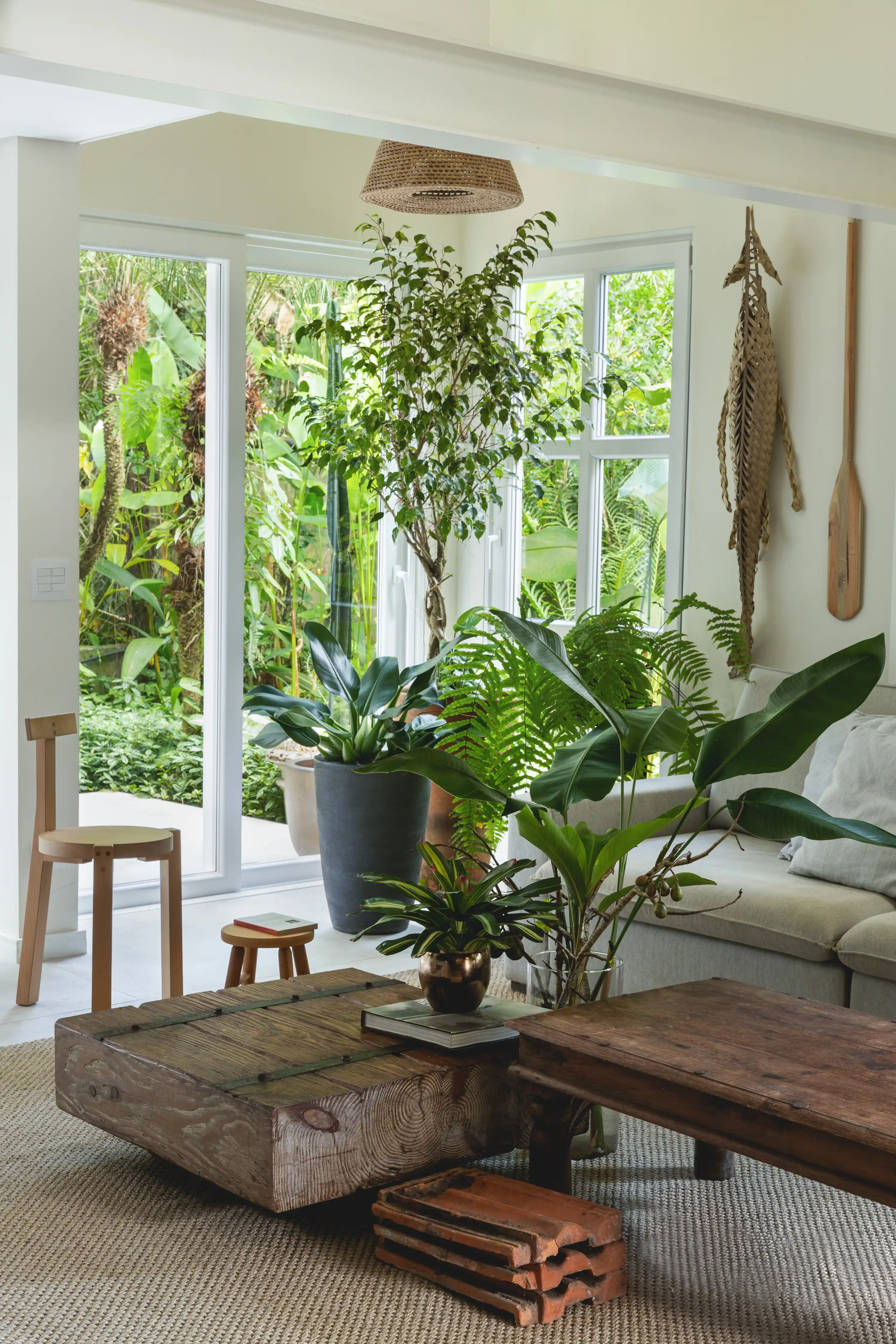 plantas que purificam o ar na sala