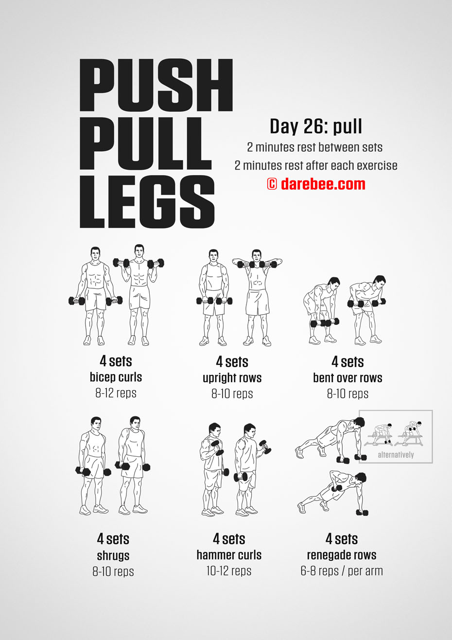 divisão push pull legs