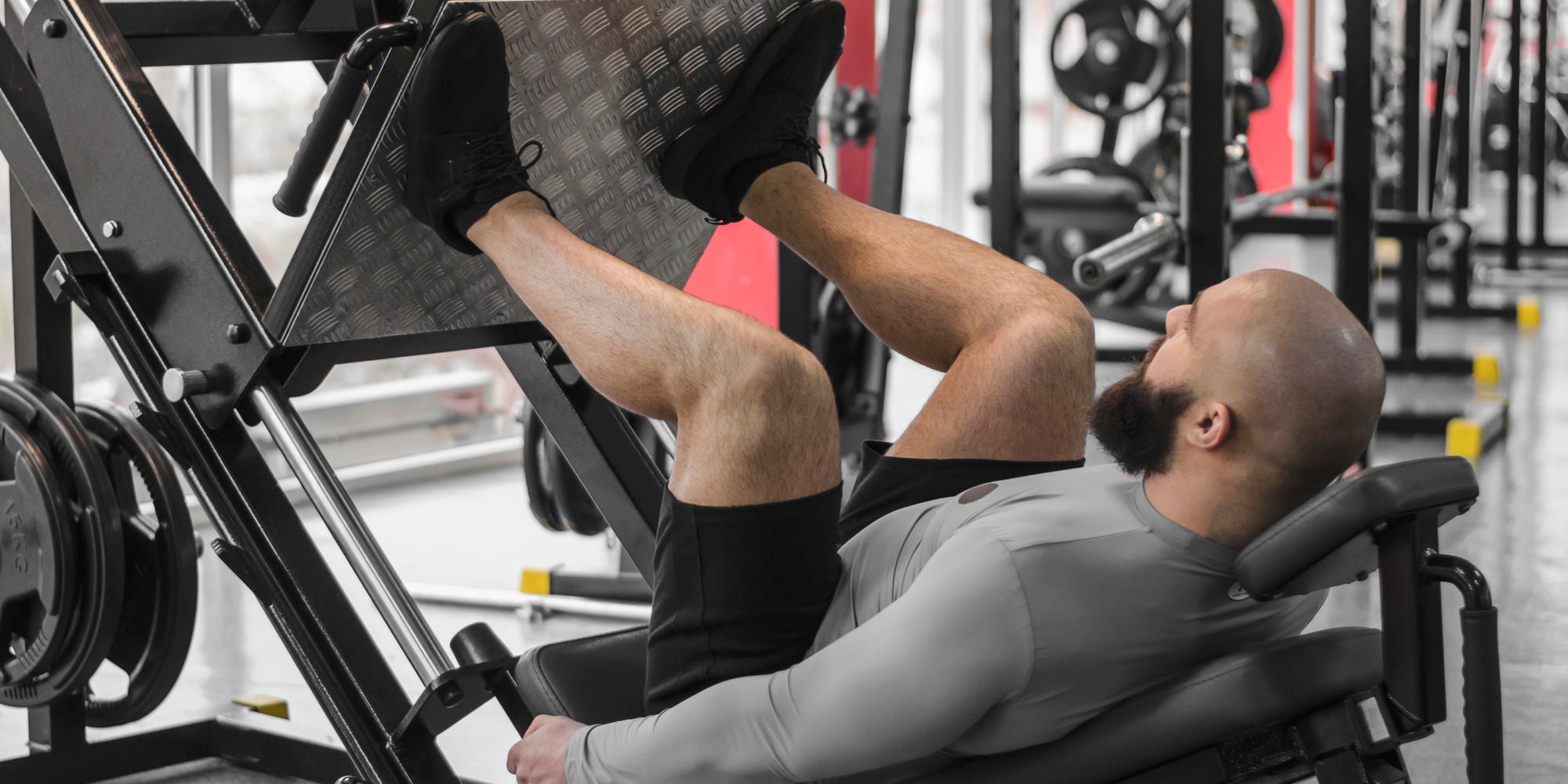 rotina push pull legs