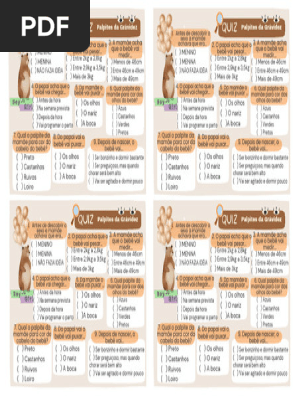 Maternidade na Prática: Desafios e Alegrias dos Primeiros Meses