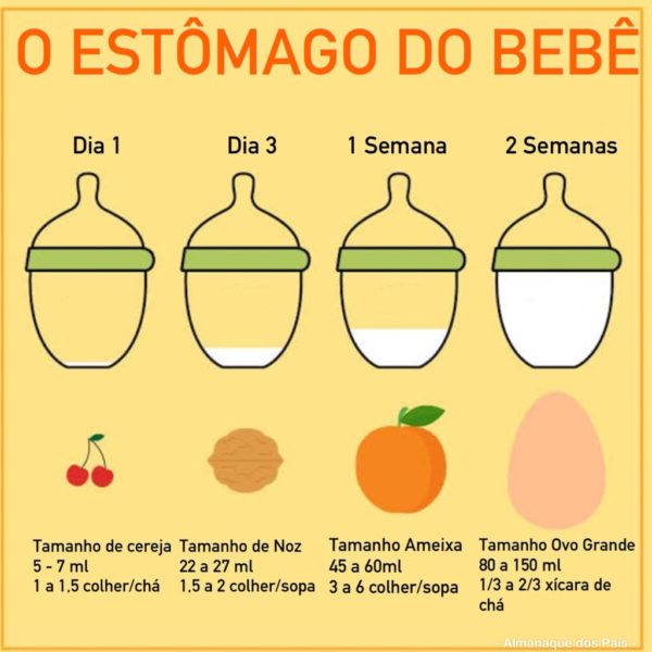 tamanho do estomago do bebe