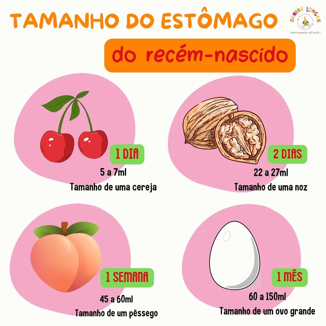 Introdução alimentar aos 6 meses: Entendendo a capacidade gástrica