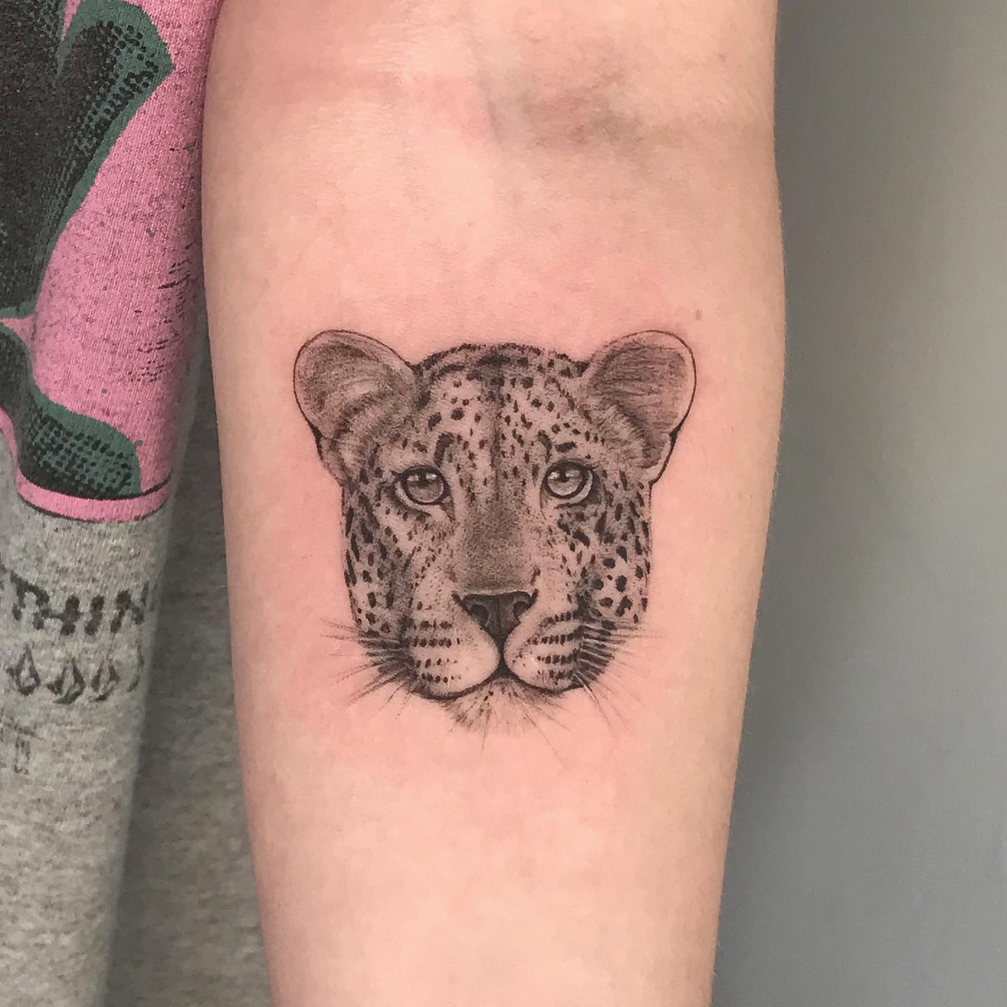 simbolismo onça pintada