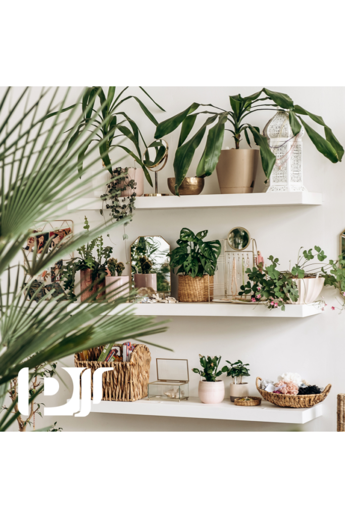 como aplicar o design biofílico em casa