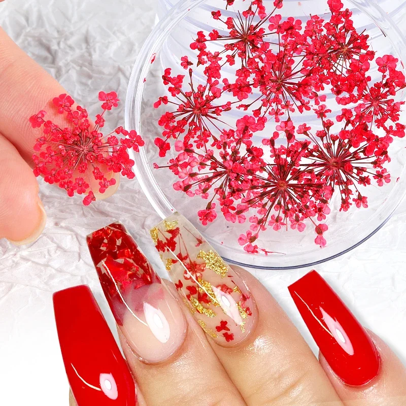 Guia completo de encapsulamento de unhas com flores secas