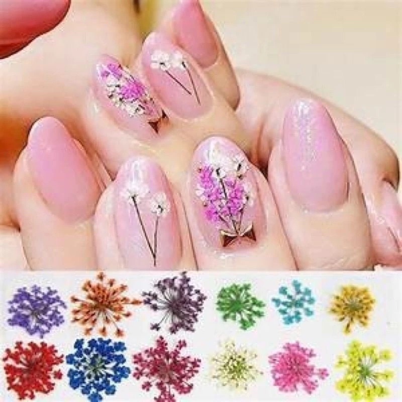 O que é nonicure e como aderir à tendência minimalista com flores secas