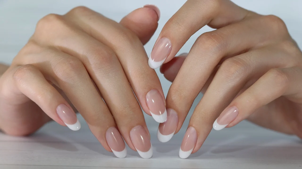 Guia completo de cores para francesinhas em 2025