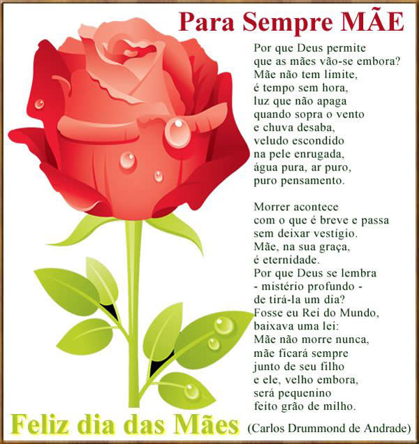 mãe guerreira frases