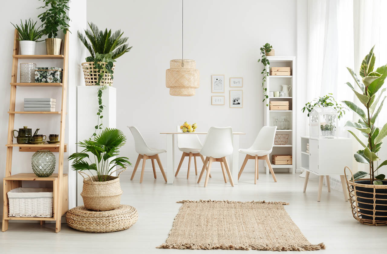 plantas na decoração de interiores