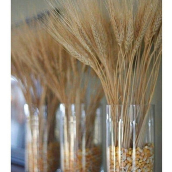 trigo artificial ou natural qual melhor decoração