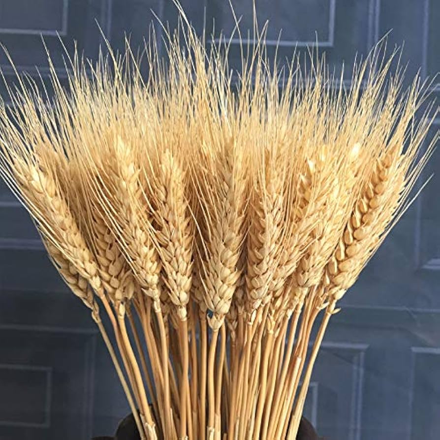 como fazer arranjo de trigo chinês desidratado