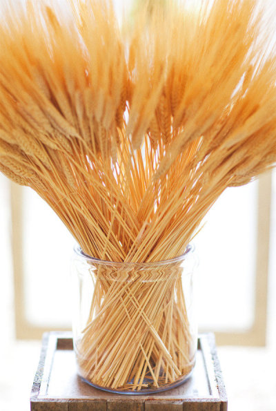 trigo natural versus trigo artificial para eventos