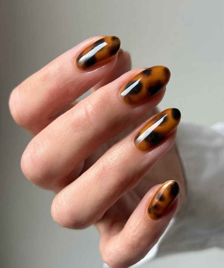 unha de gel marrom fosco ou brilhante qual escolher