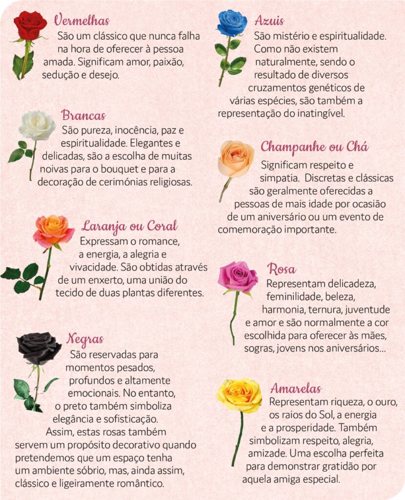 cromoterapia natal rosa