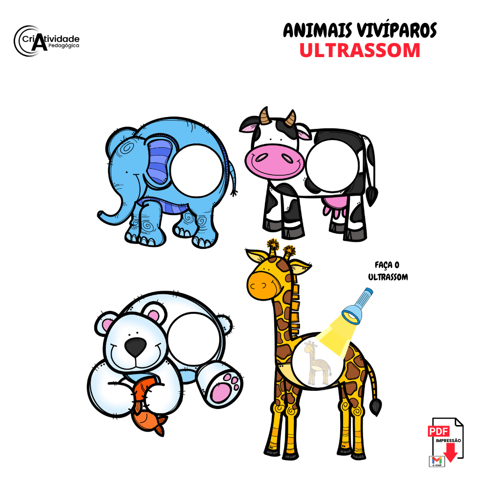 animais na pré-escola