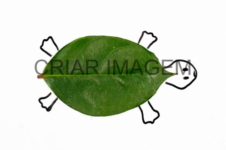 carimbo com folhas