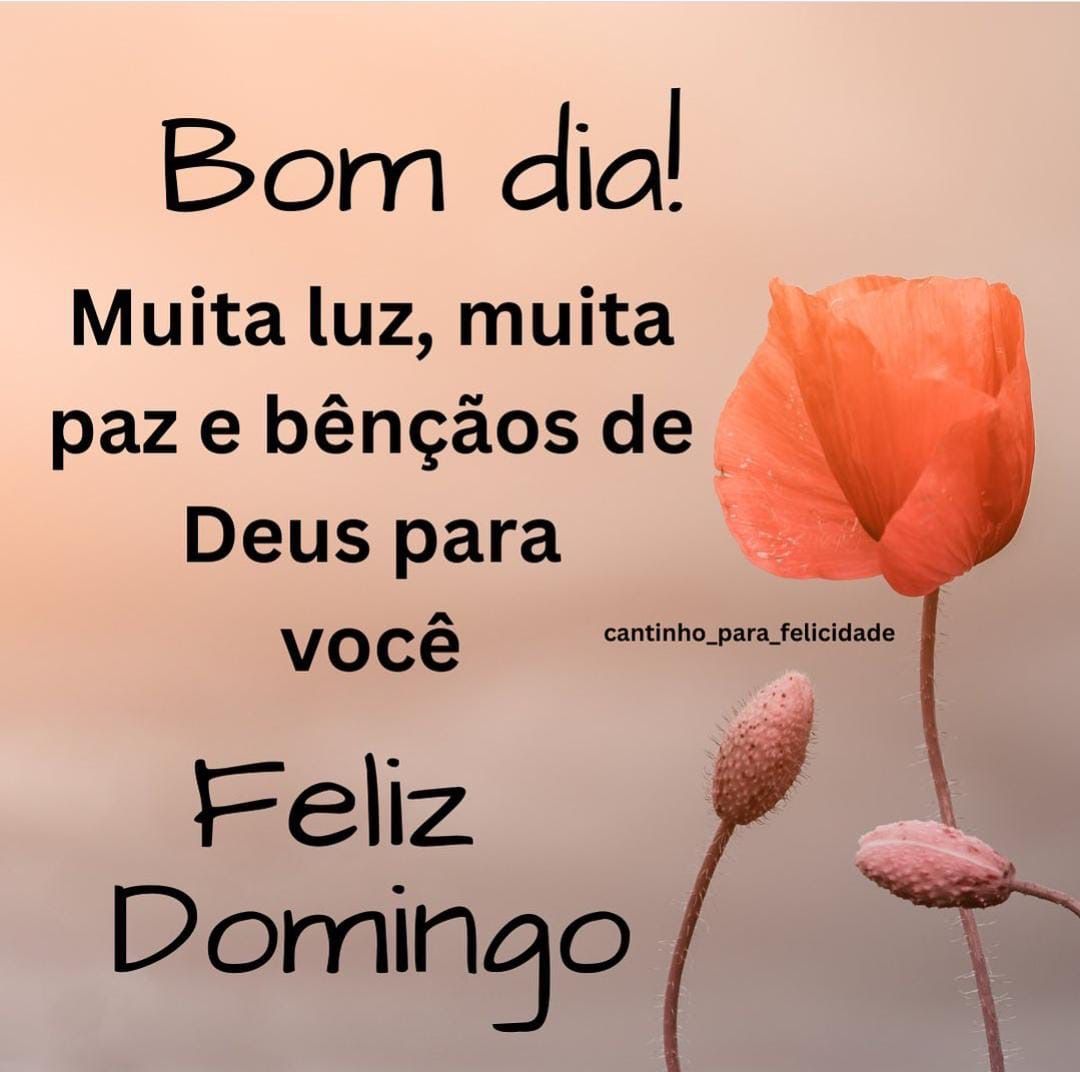 feliz domingo amor