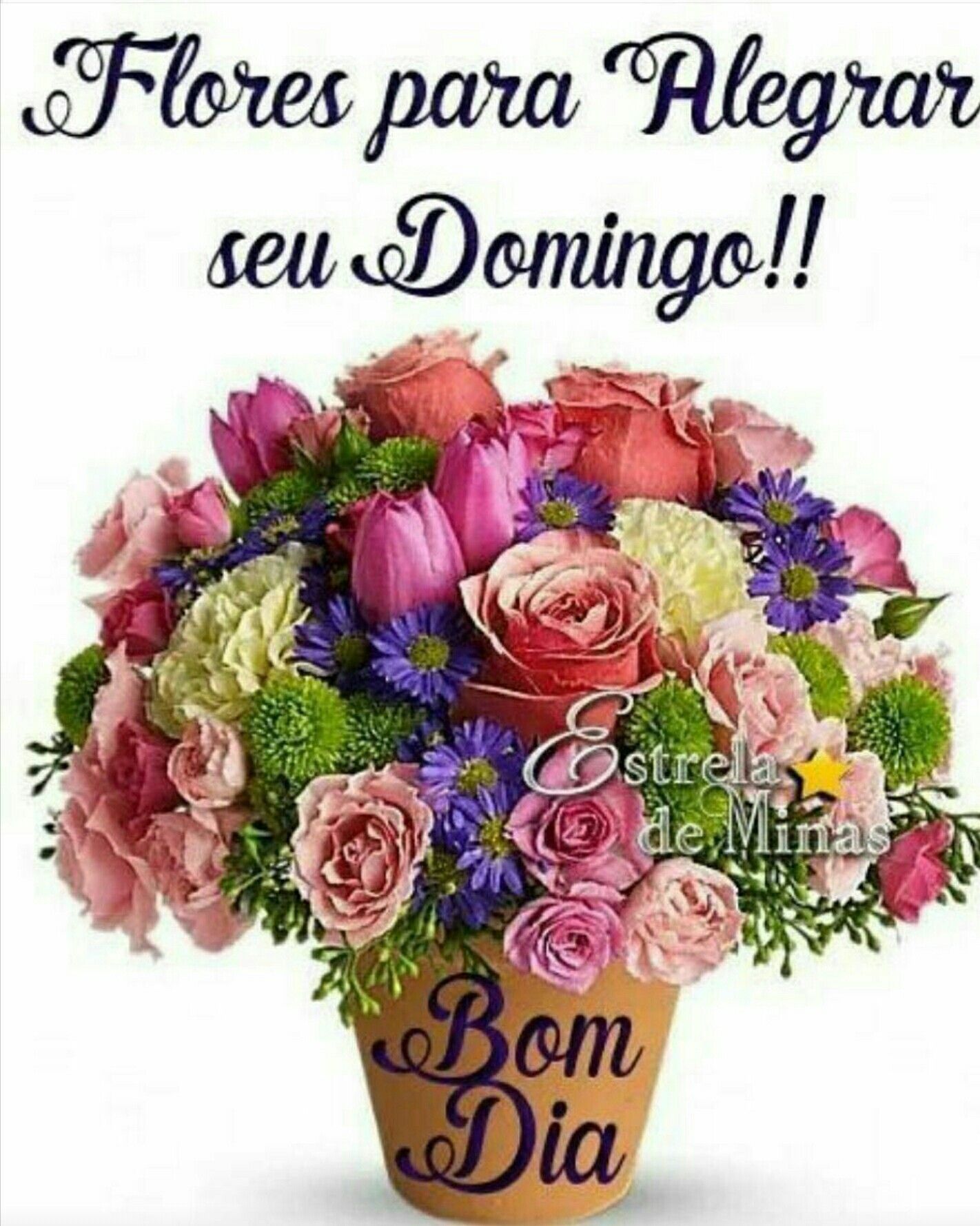 bom dia domingo com fé
