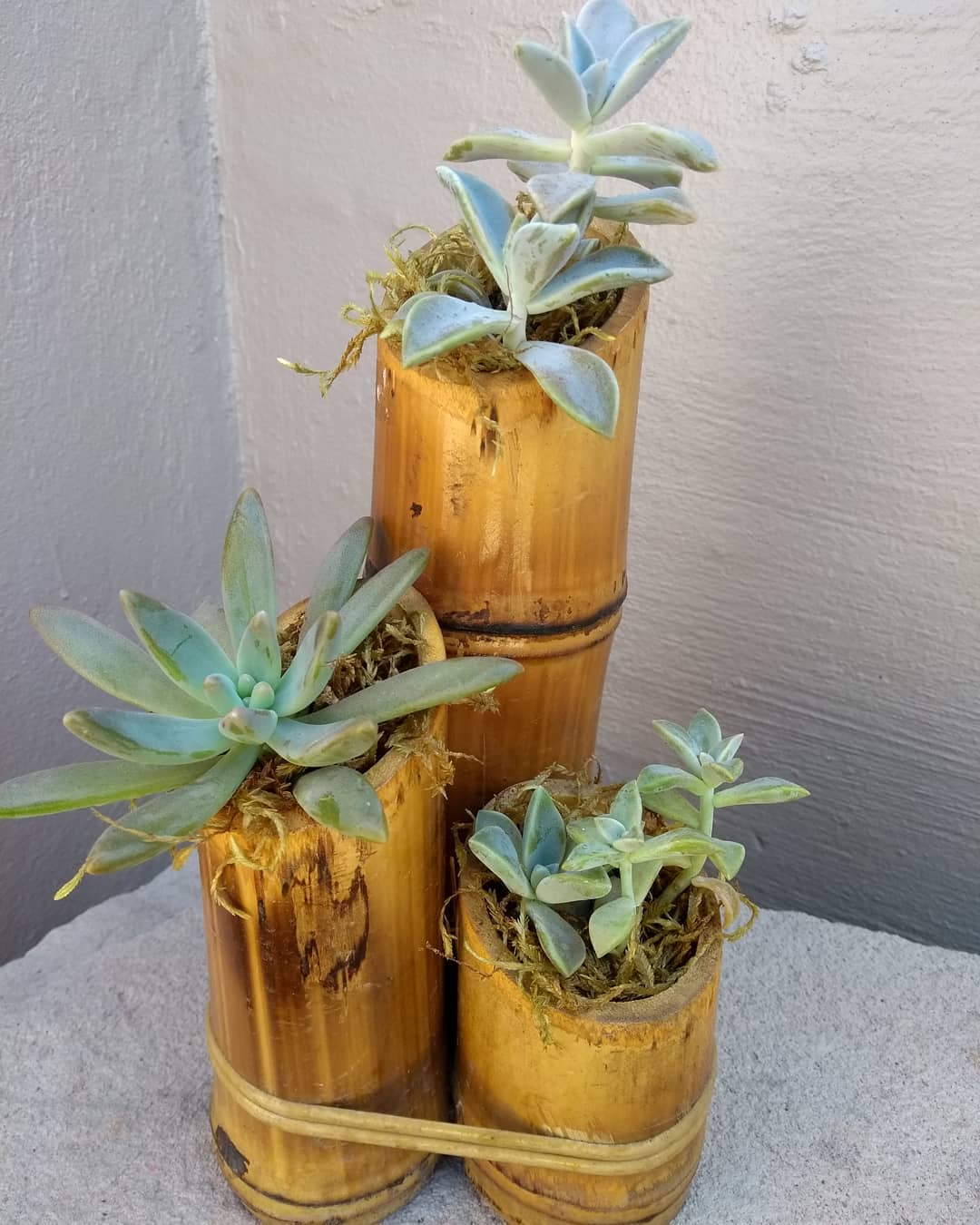 bambu na decoração de varanda