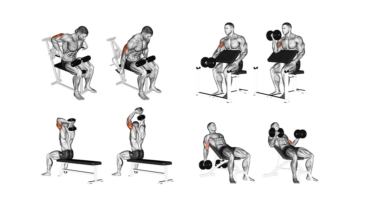 melhores exercícios bíceps