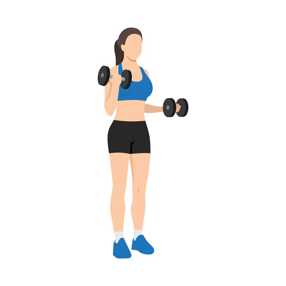 treino bíceps academia