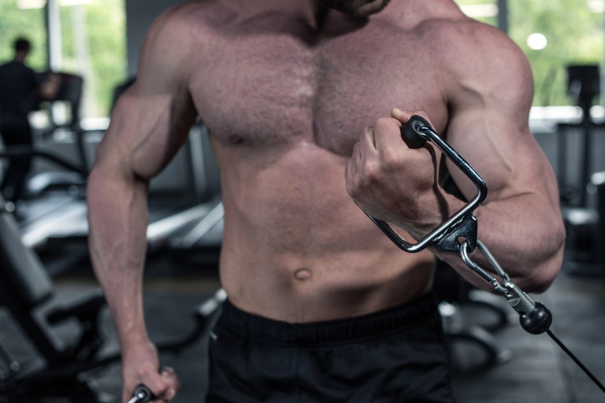 exercícios com halteres para bíceps