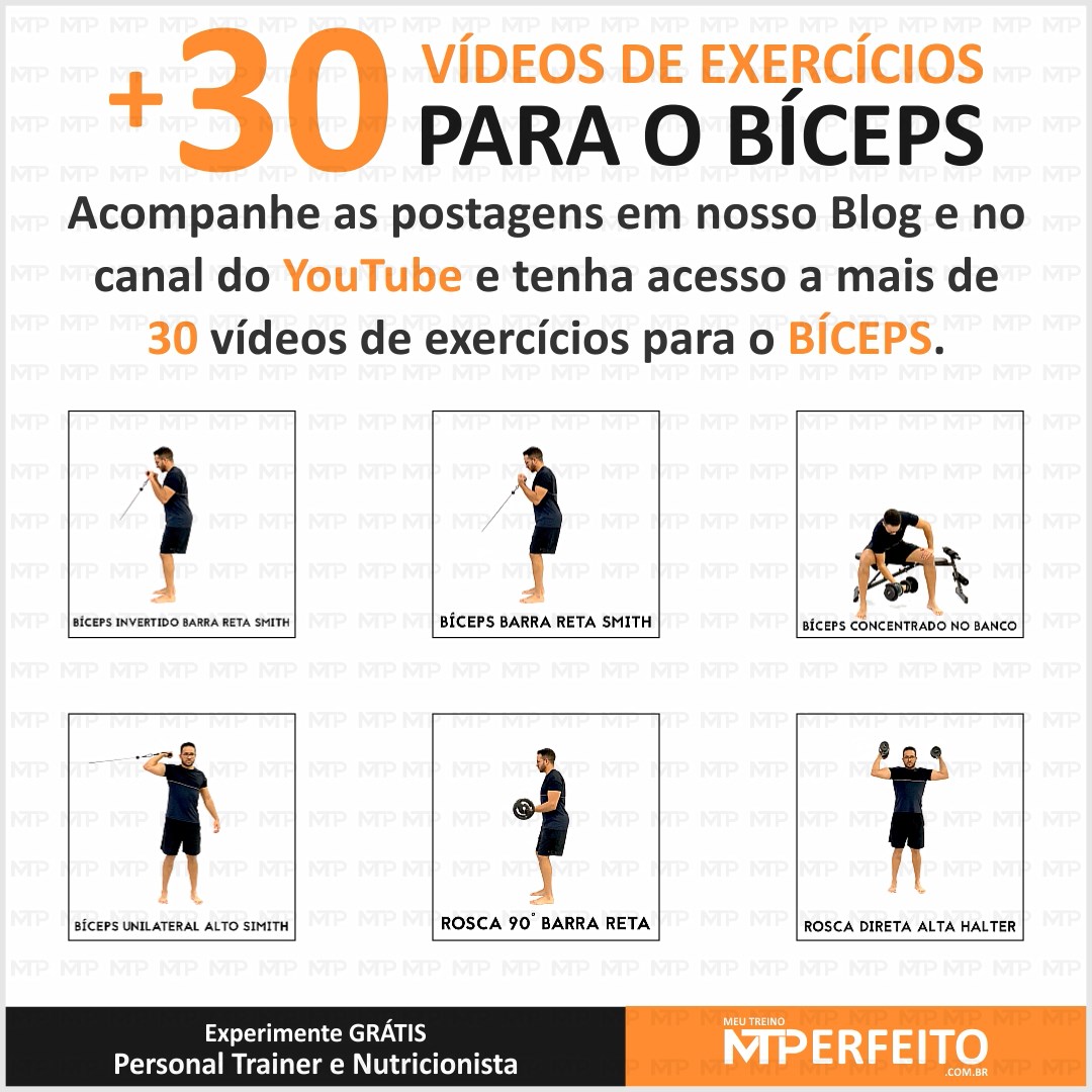 treino bíceps academia