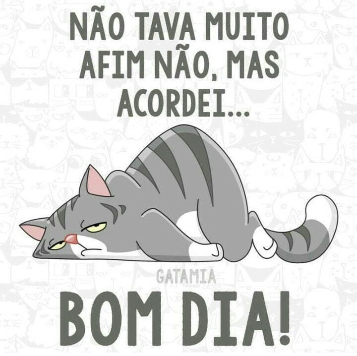 memes de bom dia engraçados whatsapp