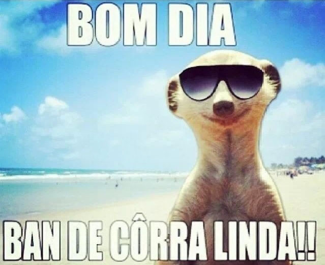 stickers de bom dia divertidos