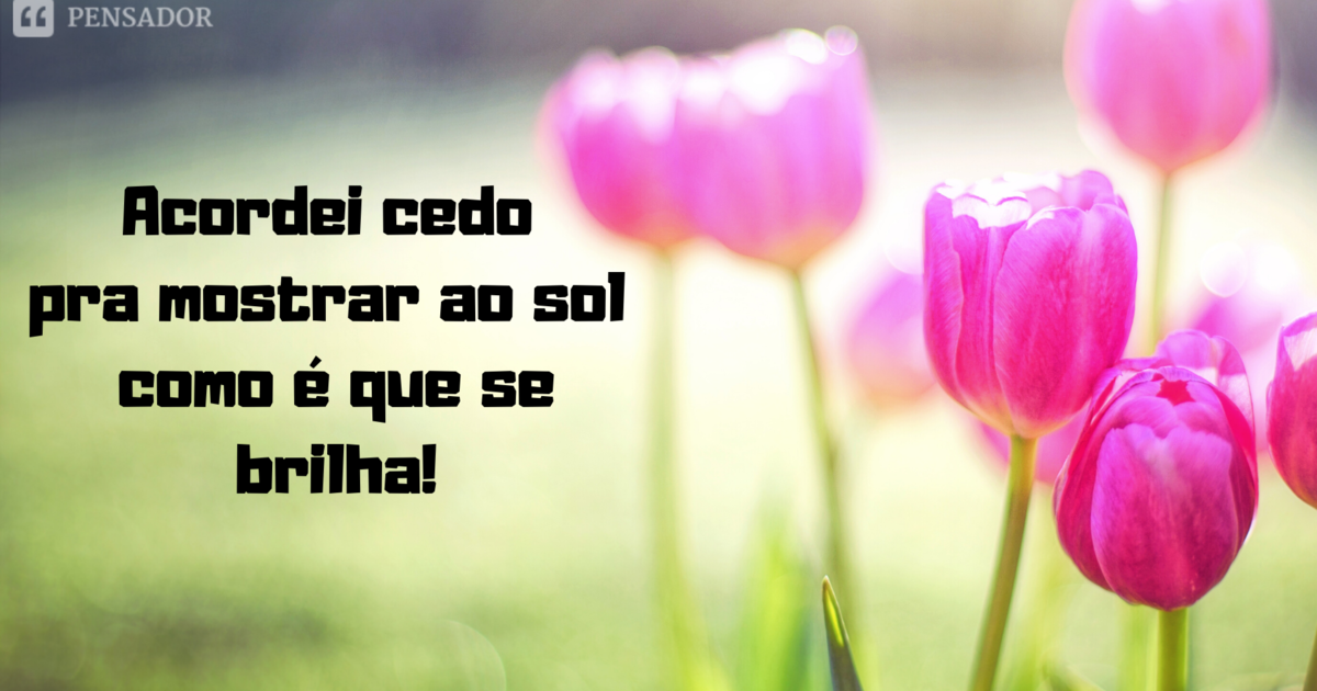 como criar figurinhas de bom dia engraçadas