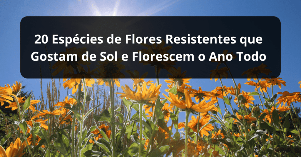 jardim florido sem manutenção