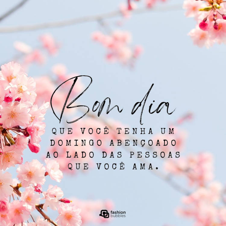 frases de bom dia domingo de paz