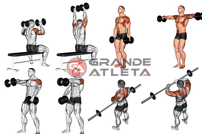 melhores exercícios para ombros largos