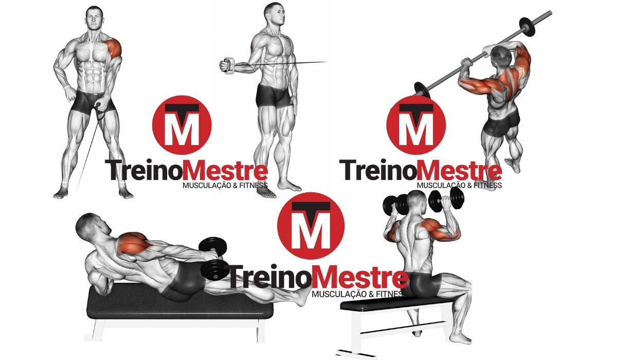 treino de ombro completo
